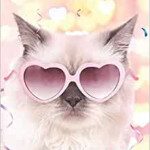 2021 2023 Cute Grumpy Cat Three Year Organizer Calendar Diary