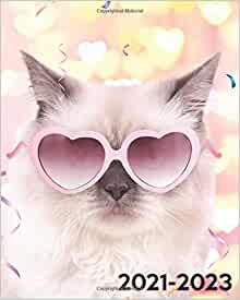 2021 2023 Cute Grumpy Cat Three Year Organizer Calendar Diary 