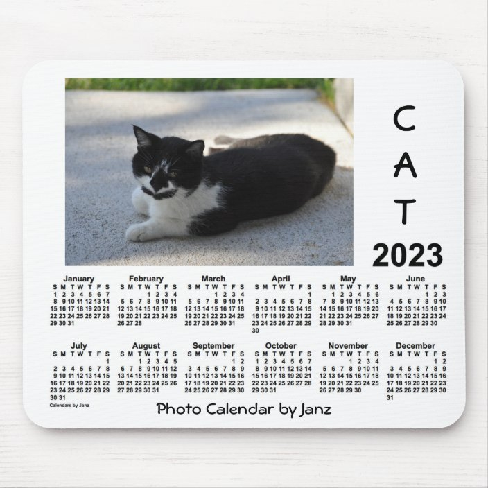2023 Sassy Cat Photo Calendar By Janz Mouse Pad Zazzle