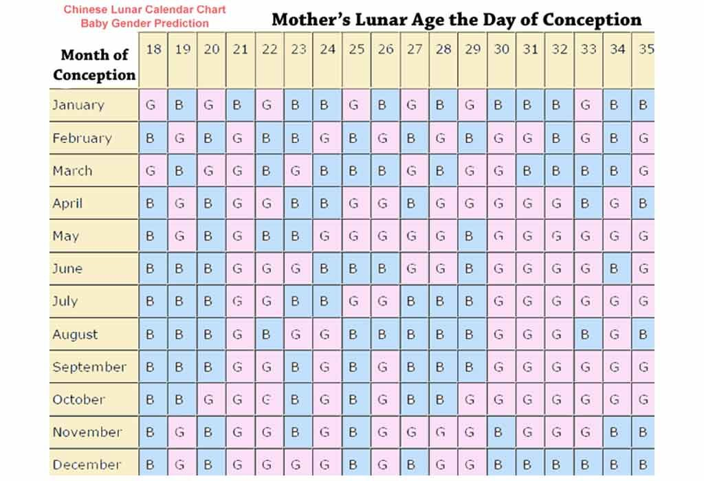 Baby Gender Chinese Calendar 2023 W2023H