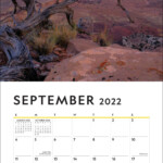 Uncc 2022 2023 Calendar Calendar2023